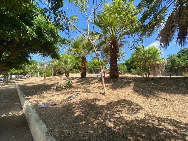 place photo 23