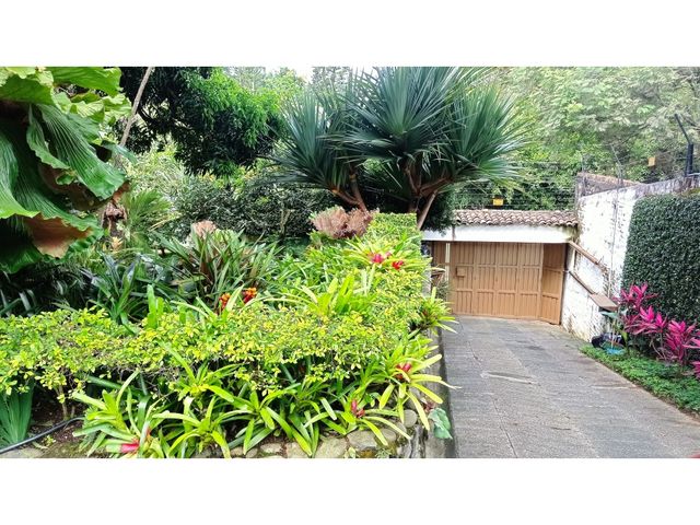 place photo 39