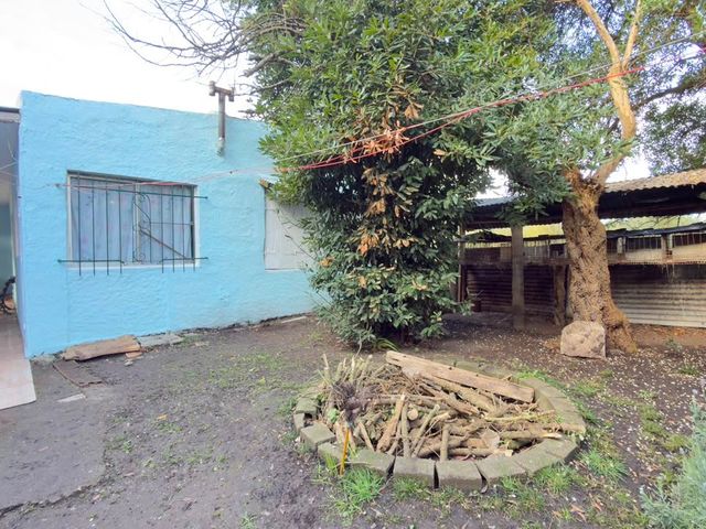 place photo 29