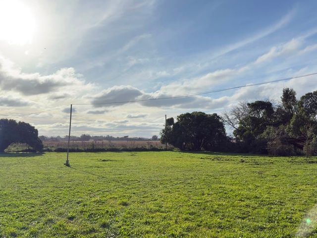 place photo 36