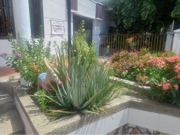 place photo 21