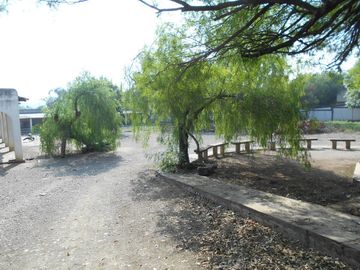 place photo 16