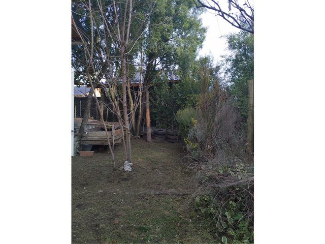 place photo 28