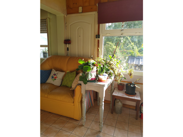place photo 36