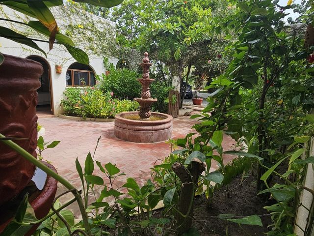 place photo 36