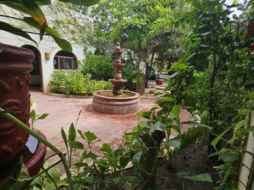 place photo 36