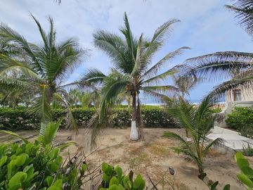 place photo 33