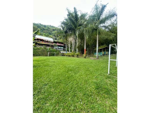 place photo 45