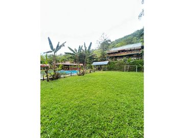 place photo 49