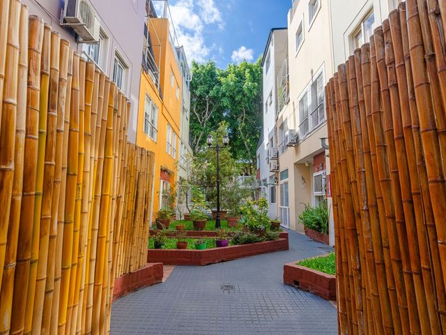 place photo 23