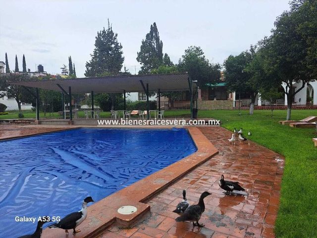 place photo 37
