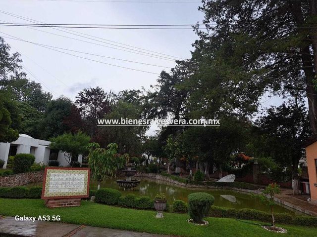 place photo 42