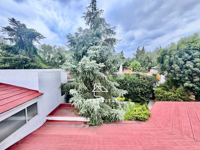 place photo 49