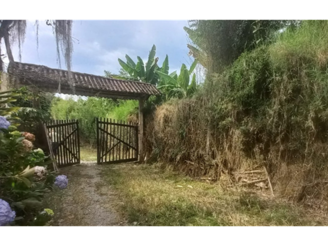 place photo 46