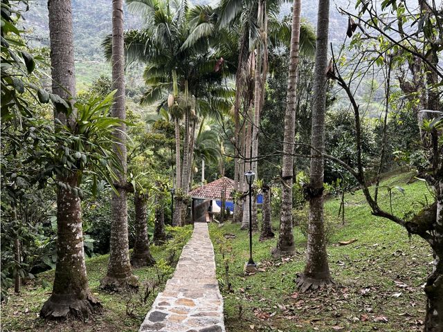 place photo 31