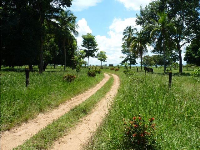 place photo 29