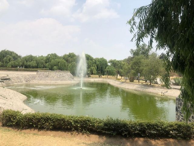 place photo 29