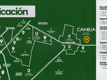 place photo 26