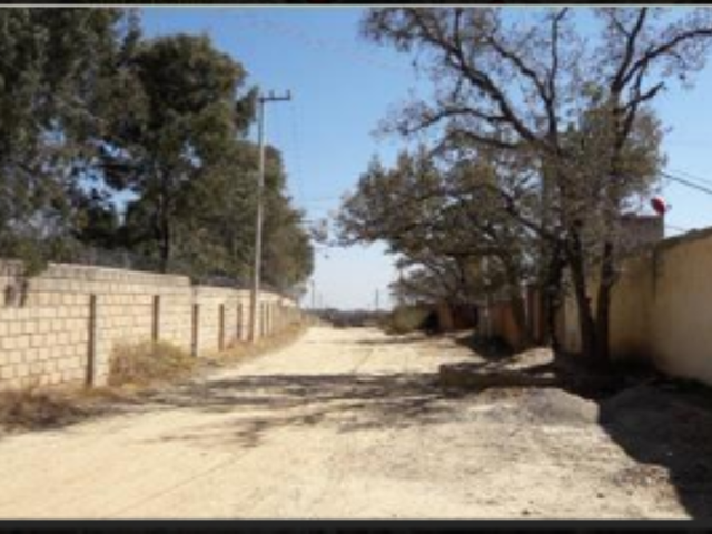 place photo 11