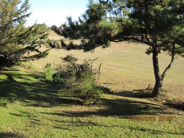 place photo 24