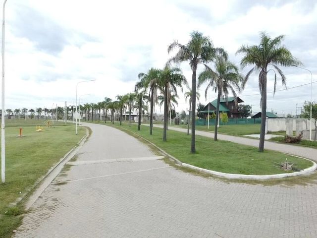 place photo 23