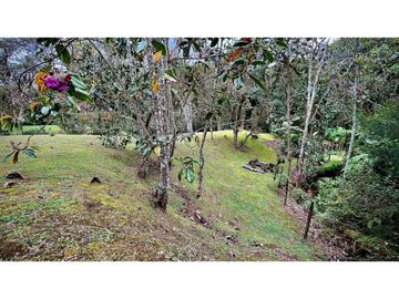 place photo 52