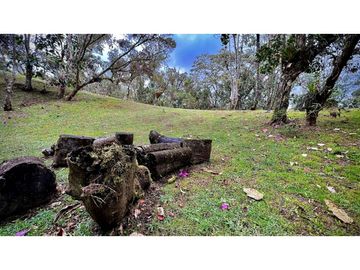 place photo 48