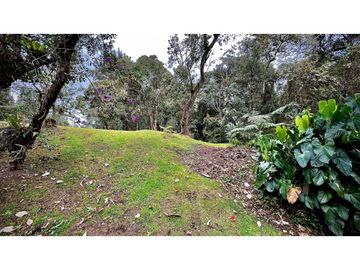 place photo 49