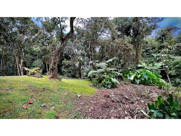 place photo 47