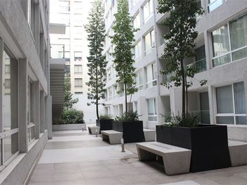 place photo 32