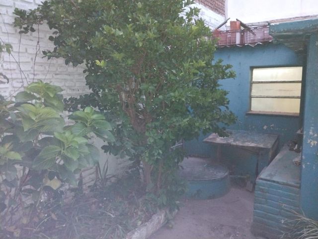 place photo 19