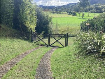 place photo 48