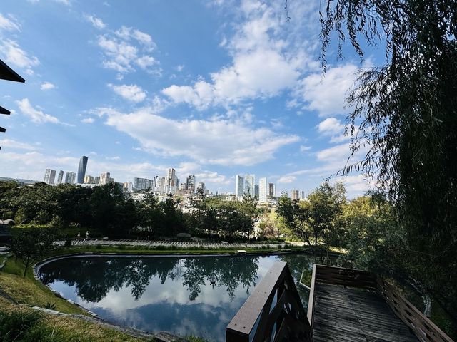 place photo 31