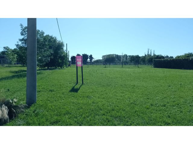 place photo 21