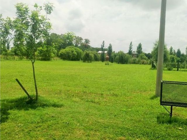 place photo 55