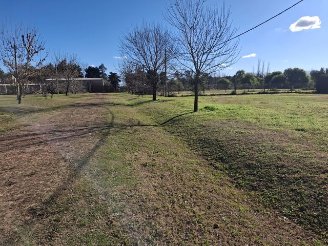 place photo 16