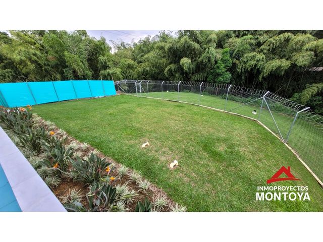 place photo 64