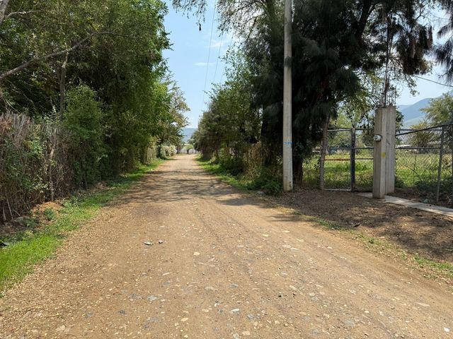 place photo 18
