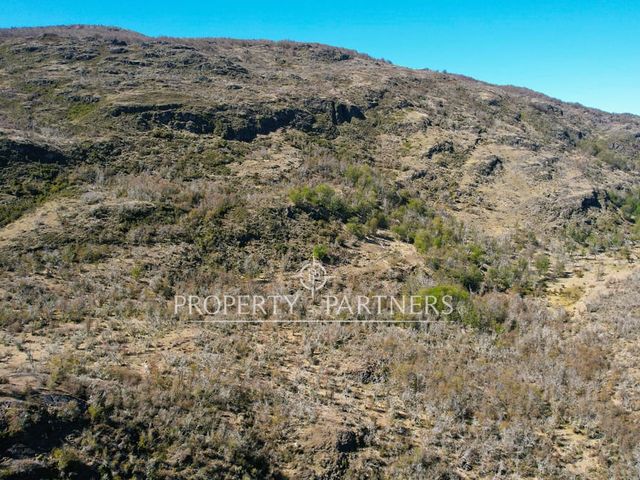 Patagonia, 45ha campo laguna La Manga, Puerto Guadal