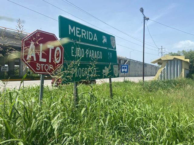 place photo 21