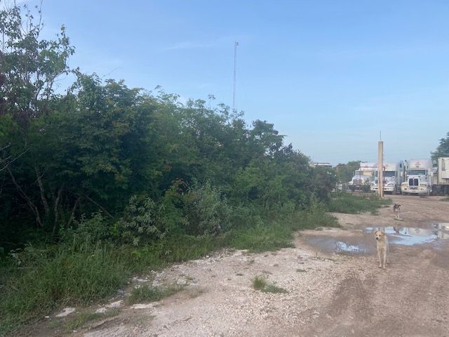 place photo 11