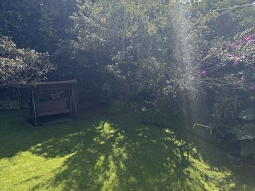 place photo 25