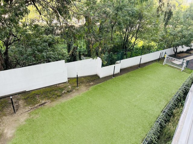 place photo 36