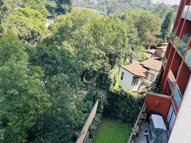 place photo 38