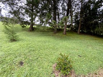 place photo 49