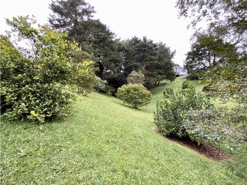 place photo 47