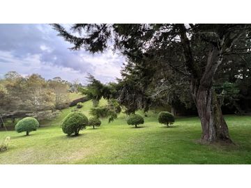 place photo 57
