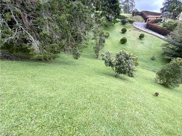 place photo 46