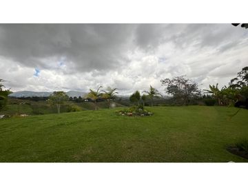 place photo 53