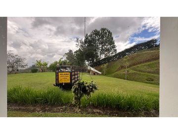 place photo 58